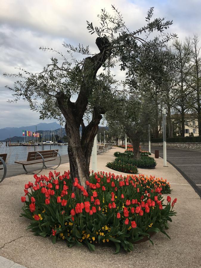 Caba Holiday Bardolino D'Annunzio Exterior photo